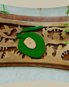 5elements U cantu de Foa