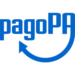 IBAN e pagamenti informatici